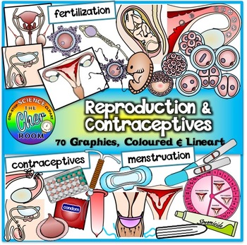 Preview of Reproduction Clipart (and Contraceptives)