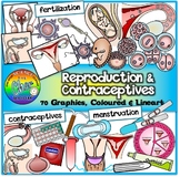 Reproduction Clipart (and Contraceptives)