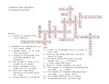 Insects Crossword Puzzle BJU Science 4 by Savannah Brown TPT
