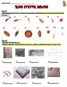 Preview of BLOOD SPATTER ANALYSIS
