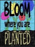 BLOOM Where You Are PLANTED Color-By-Number 30-Pc Poster