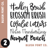 BLUSH FONT CO. Font Bundle 2 - Brush Fonts