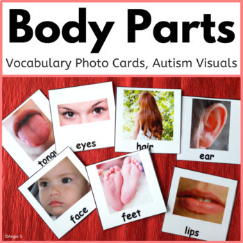 Preview of BODY PARTS Autism Visuals Parts of the Body Picture Cards Special Ed Vocabulary
