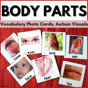 Preview of BODY PARTS Autism Visuals Parts of the Body Picture Cards Special Ed Vocabulary