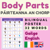 BODY PARTS Gaeilge | Bilingual English Irish Body Parts (p