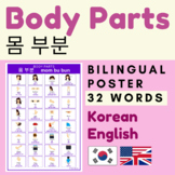 BODY PARTS Korean Body Part | Bilingual English Korean Body Parts