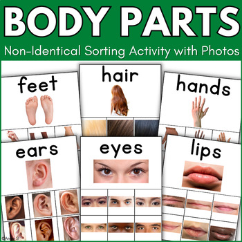 Preview of BODY PARTS Non-Identical Matching Picture Cards Autism Sped Sorting Activity