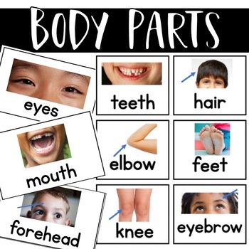 Preview of BODY PARTS  Special Education Autism Visuals Parts of the body ESE ESOL ELLS 