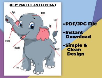 Preview of BODY PARTS of an ELEPHANT Science Kids Wall Art Decor Montessori Kindergarten.
