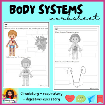 Preview of BODY SYSTEMS