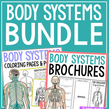 Preview of BODY SYSTEMS Coloring Pages and Research Projects | Anatomy Science Activities