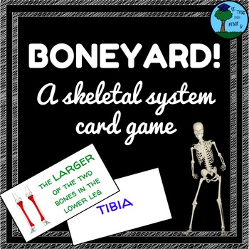 Preview of BONEYARD Skeletal System Memory Card Game (Anatomy, Life Science)