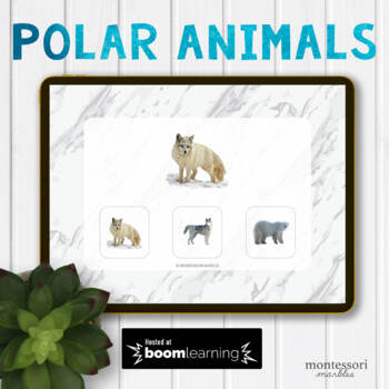 Preview of BOOM CARDS™ Arctic Animals Picture Matching, Montessori Preschool Activity