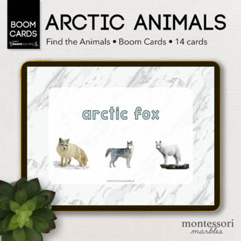 Preview of BOOM CARDS™ Arctic Animals Word to Picture | Distance Learning for Kids