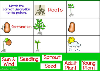 BOOM CARDS Spring Digital PLANT LIFE CYCLE with AUDIO by Teacher Features