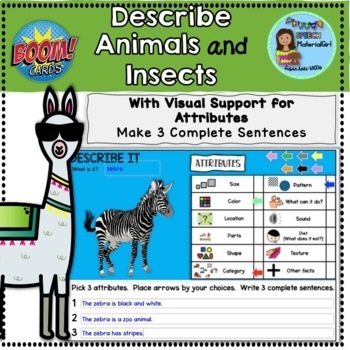 Insects Sentence Making Teaching Resources | TPT