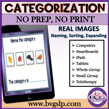 Preview of Categories and Sorting REAL IMAGES BOOM CARDS Vocabulary Building - Digital