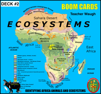 Preview of BOOM CARDS - Ecosystems Deck #2 (20 cards)