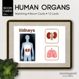BOOM CARDS™ Human Body Match the Organs | Montessori Onlin