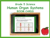 BOOM CARDS to Review Human Organ Systems
