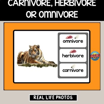Preview of BOOM Cards Carnivores, herbivores or omnivores? Wh questions