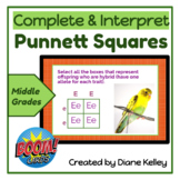 Complete & Interpret Punnett Squares Boom Cards
