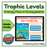 Trophic Levels Energy Flow in Ecosystems Boom Cards