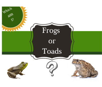 Preview of BOOM Deck Frogs vs. Toads Which Am I? (realistic Images) #flashfridayfreebie