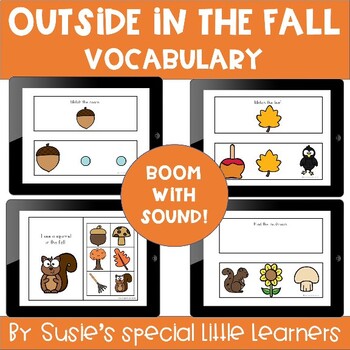 Preview of BOOM OUTSIDE IN THE FALL VOCABULARY FOR SPECIAL EDUCATION & SPEECH THERAPY