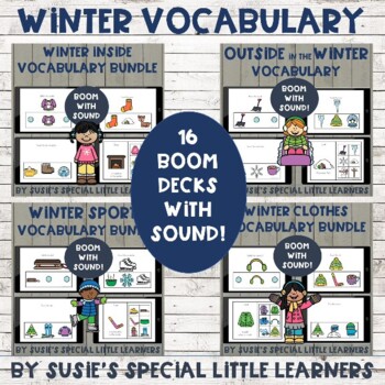 Preview of BOOM  WINTER  VOCABULARY BUNDLE FOR SPECIAL EDUCATION & SPEECH THERAPY
