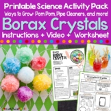 BORAX CRYSTAL Science Experiment Activity Pack