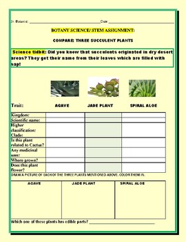 Preview of BOTANY: A SCIENCE/ STEM ACTIVITY: COMPARE THREE SUCCULENTS