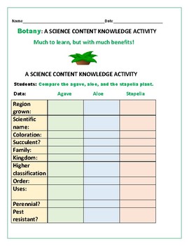 Preview of BOTANY ACTIVITY: COMPARE THREE PLANTS:CHARTING, DRAWING & RESEARCH