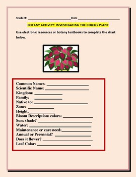 Preview of BOTANY ACTIVITY: FUN WITH DISTANCE LEARNING! : INVESTIGATING THE COLEUS