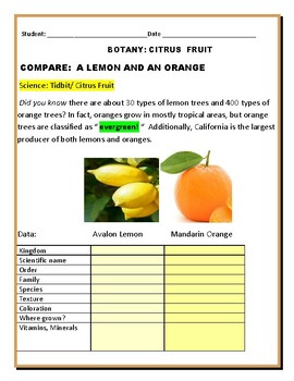 Preview of BOTANY: COMPARE 2 CITRUS FRUIT: LEMON & ORANGE, GRS. 4-8. MG