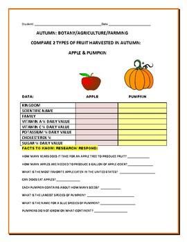 Preview of BOTANY: COMPARE  TWO TYPES OF AUTUMN- HARVESTED FRUIT : APPLE & PUMPKIN