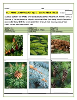 Preview of BOTANY/DENDROLOGY: EVERGREEN TREES: A QUIZ  W/ ANSWER KEY GRS. 8-12, MG