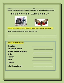 Preview of BOTANY/ ENTOMOLOGY: LOOKING AT AN INVASIVE SPECIES: SPOTTED LANTERN FLY