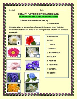 Preview of BOTANY: FLOWER IDENTIFICATION QUIZ:  W/ ANSWER KEY