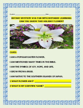 Preview of BOTANY MYSTERY #18: FUN WITH DISTANCE LEARNING: GUESS THIS HOLIDAY FLOWER!