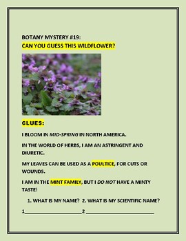 Preview of BOTANY MYSTERY #19:FUN WITH DISTANCE LEARNING: CAN YOU GUESS THIS WILDFLOWER?