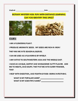 Preview of BOTANY MYSTERY #26: FUN WITH DISTANCE LEARNING: CAN YOU IDENTIFY THIS SPICE?