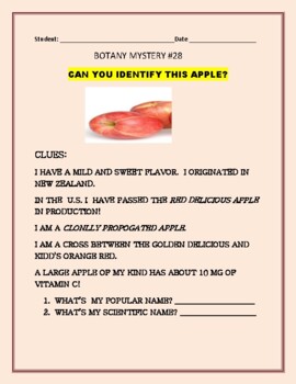 Preview of BOTANY MYSTERY #28: FUN WITH DISTANCE LEARNING: CAN YOU IDENTIFY THIS APPLE?