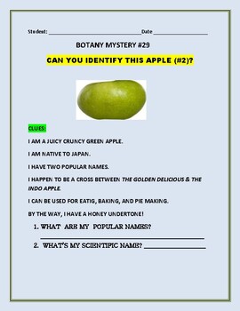 Preview of BOTANY MYSTERY #29: FUN WITH DISTANCE LEARNING: CAN YOU IDENTIFY THIS APPLE #2?
