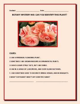 Preview of BOTANY MYSTERY #49: CAN YOU IDENTIFY THIS FLOWERING PLANT?