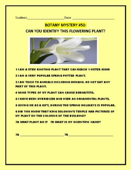 Preview of BOTANY MYSTERY #50: CAN YOU IDENTIFY THIS FLOWERING PLANT? W/ANSWER KEY