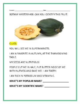 Preview of BOTANY MYSTERY #58: CAN YOU IDENTIFY THIS FRUIT? W/ ANSWER KEY