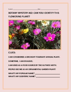 Preview of BOTANY MYSTERY #62: CAN YOU IDENTIFY THIS FLOWERING PLANT? W/ANS. KEY