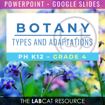 Preview of BOTANY: Plant Types and Adaptations | PPT - Google Slides