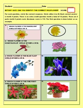 Preview of BOTANY QUIZ: WILDFLOWER IDENTIFICATION W/ANS.KEY GRS. 4-12, SUMMER CAMP